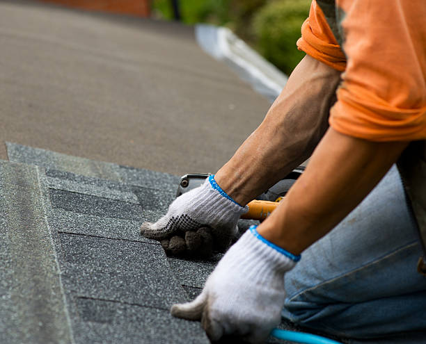 Best Roof Gutter Cleaning  in River Park, FL